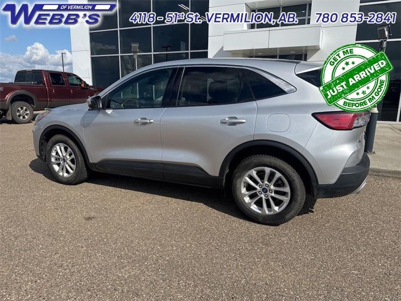 2020 Ford Escape SE 4WD Photo3