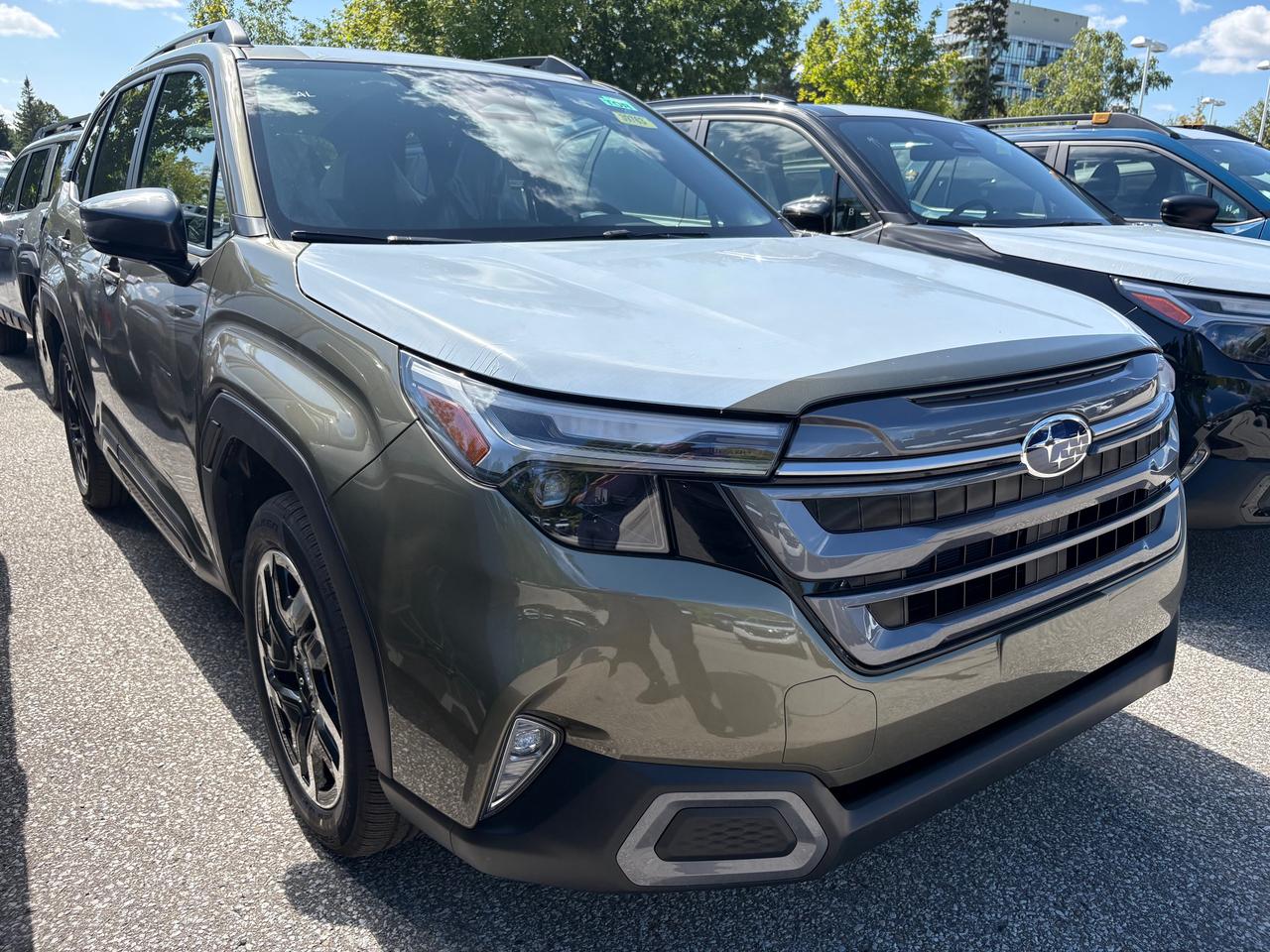 2026 Subaru Forester Limited Photo1
