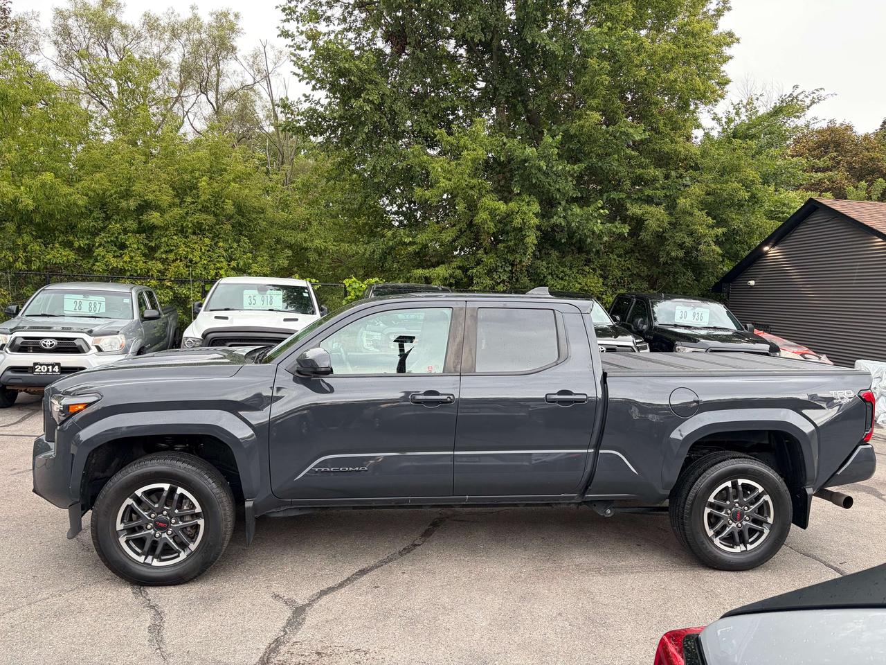 2024 Toyota Tacoma TRD SPORT 4x4 Double Cab Clean CARFAX Heated Seats Photo