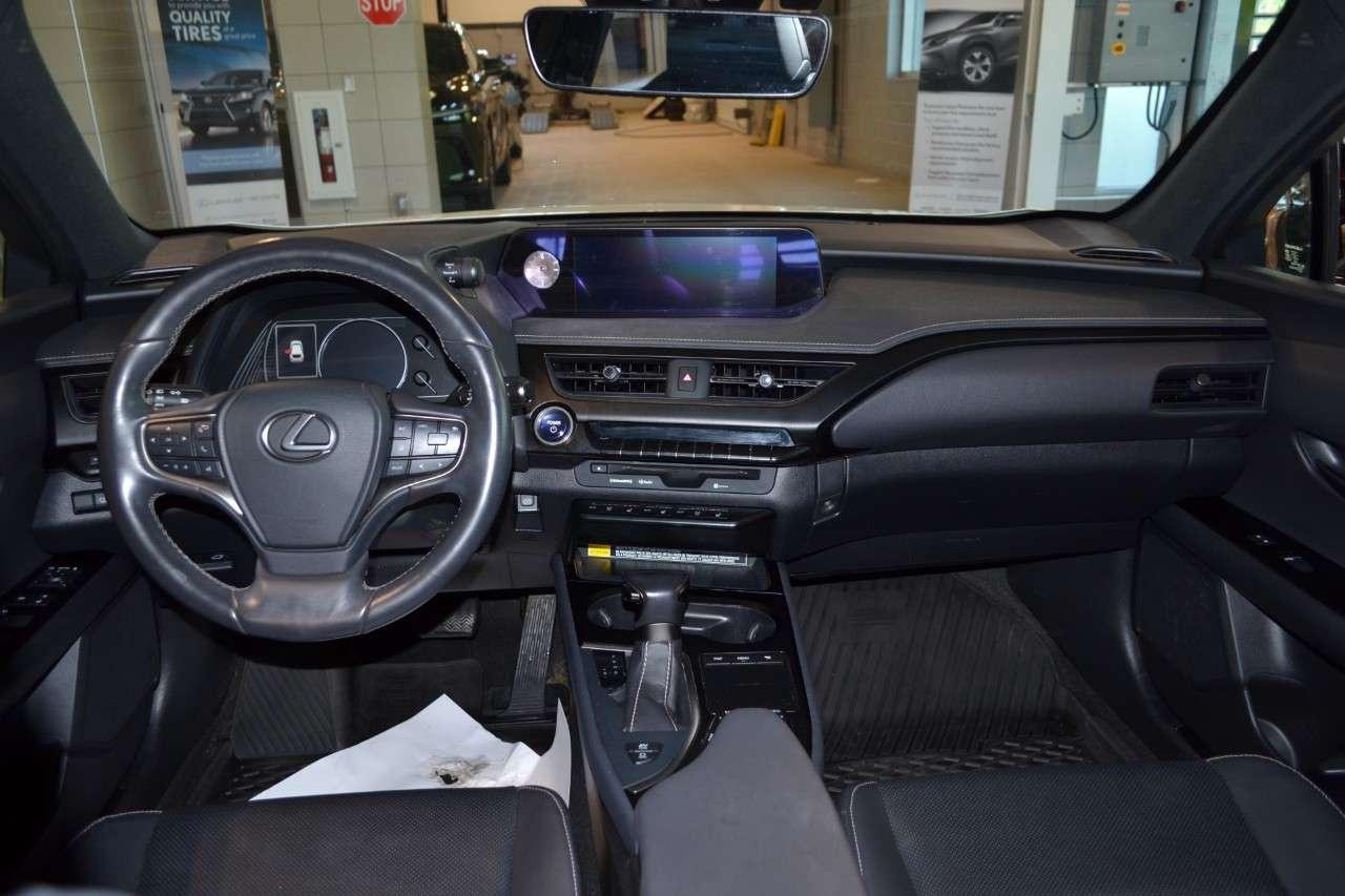 2020 Lexus UX 250H UX 250h CVT Photo