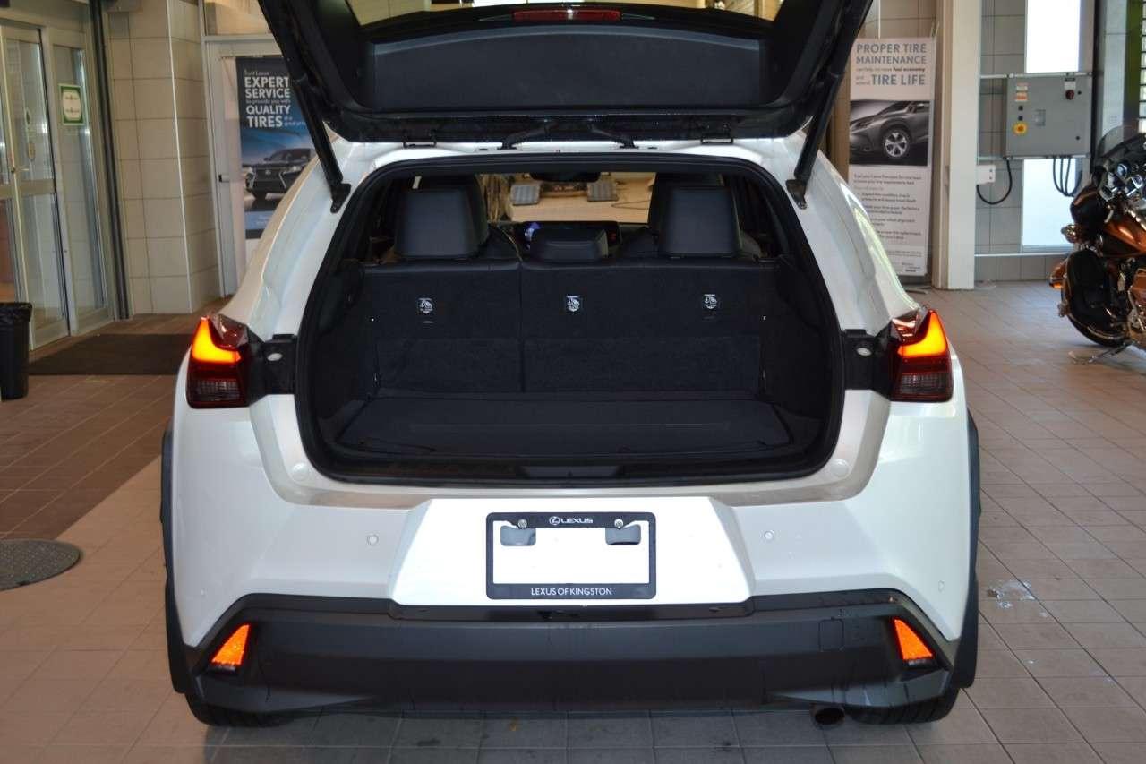 2020 Lexus UX 250H UX 250h CVT Photo