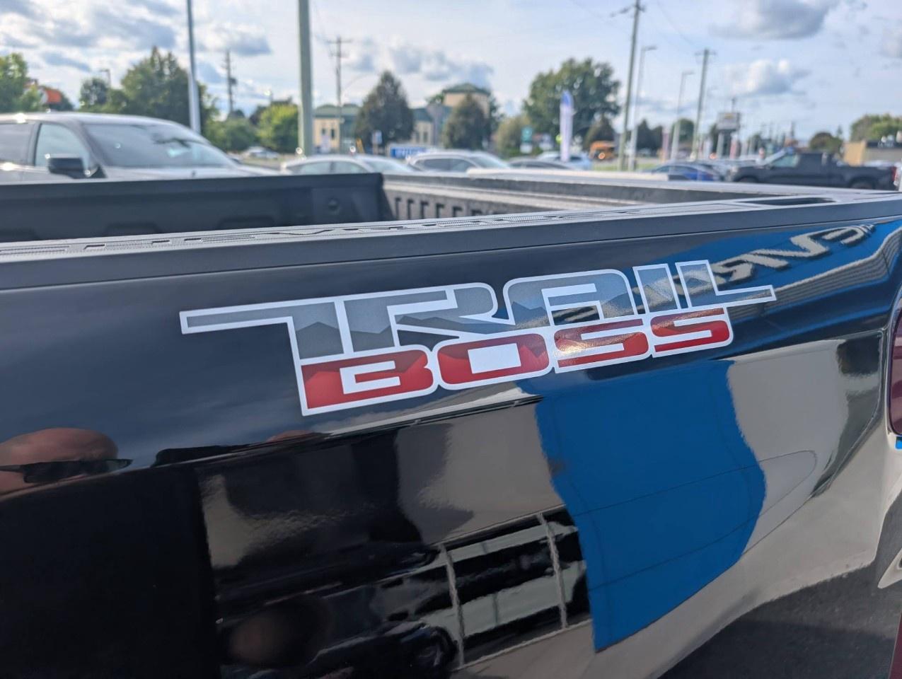 2022 Chevrolet Silverado 1500 Crew Cab Short Box 4-Wheel Drive Custom Trail Boss Photo