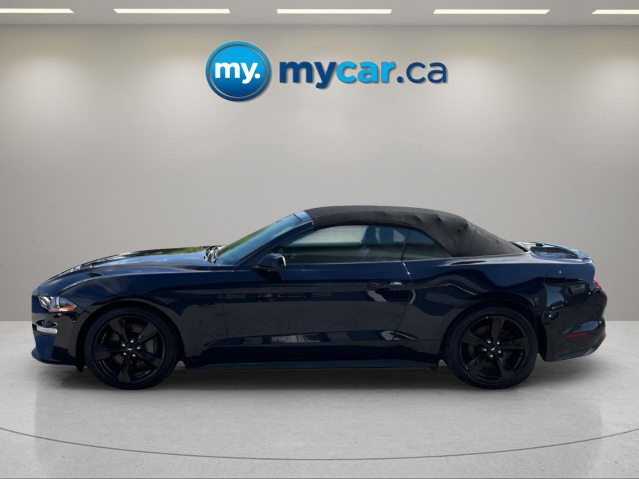 2021 Ford Mustang GT Premium 2dr Convertible Photo