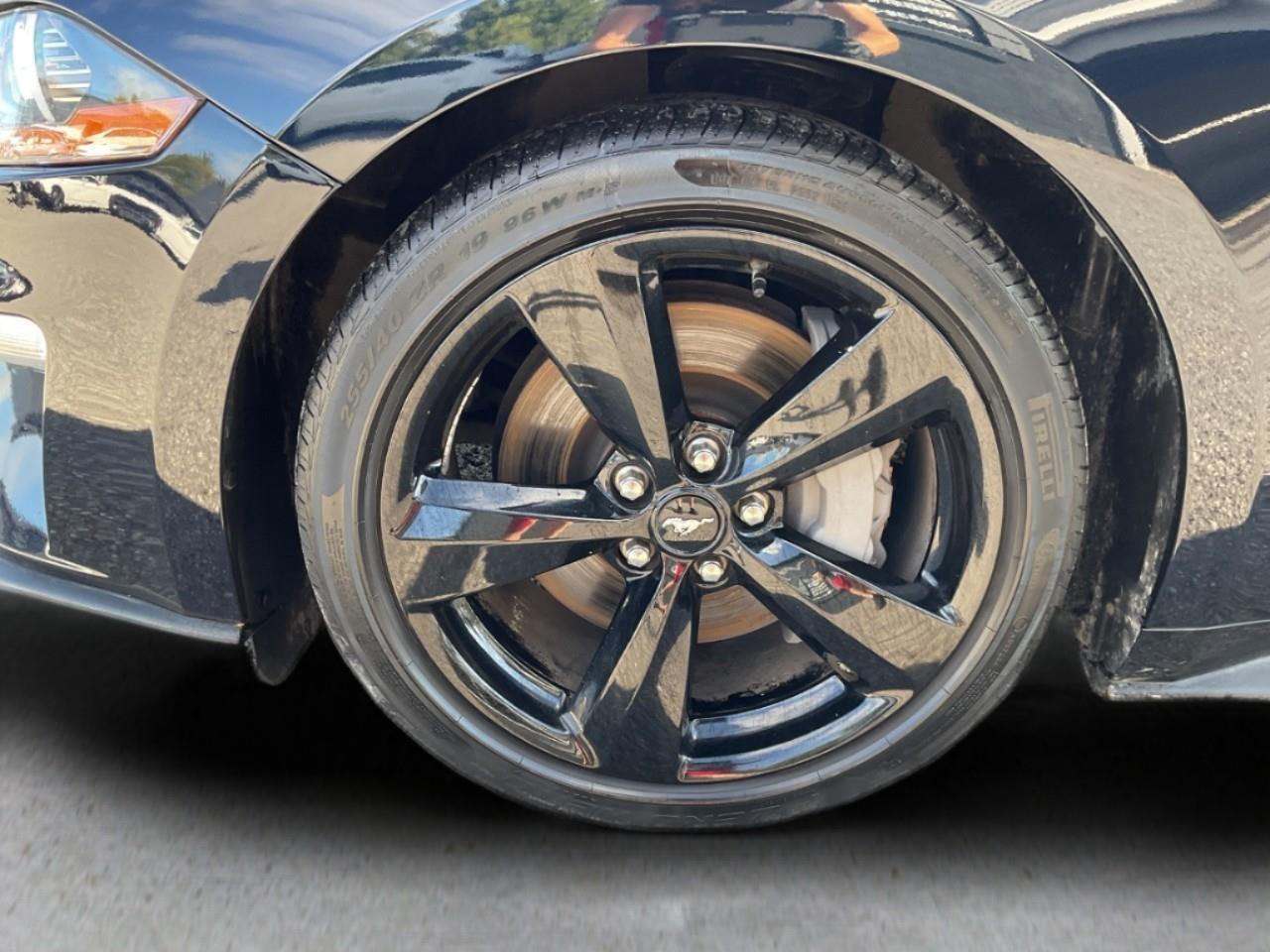 2021 Ford Mustang GT Premium 2dr Convertible Photo