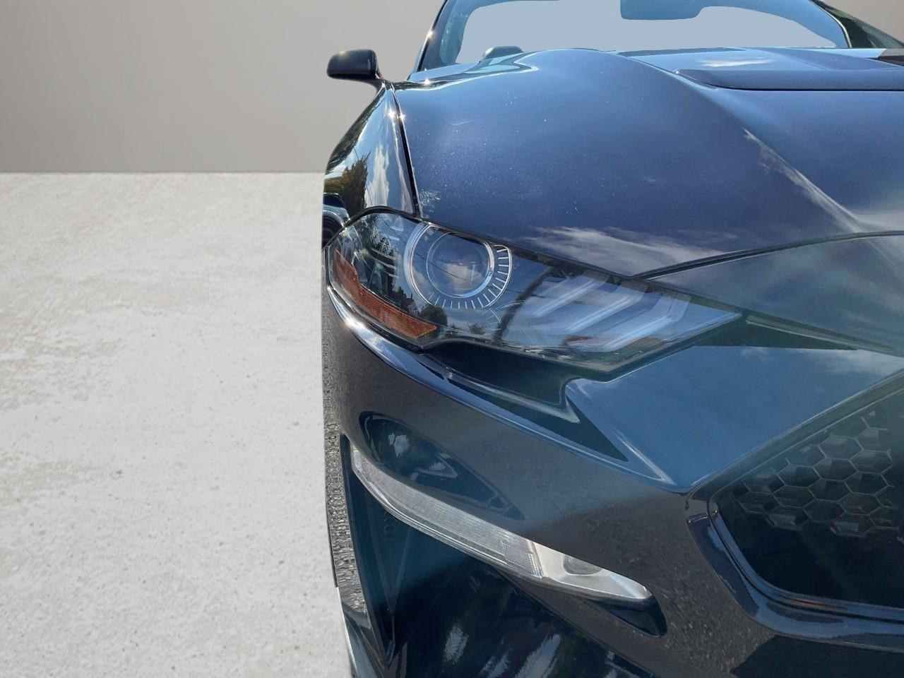 2021 Ford Mustang GT Premium 2dr Convertible Photo