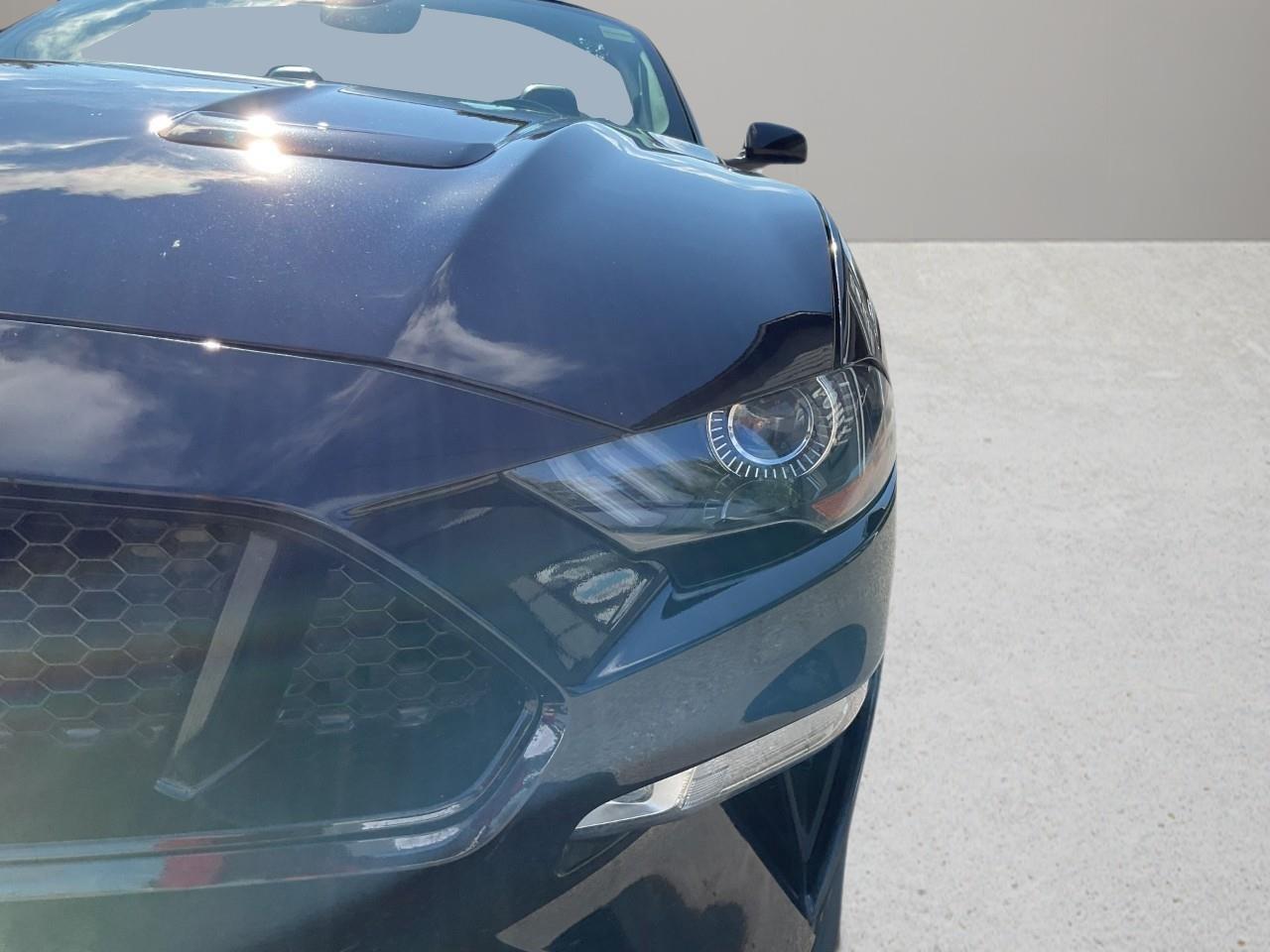 2021 Ford Mustang GT Premium 2dr Convertible Photo