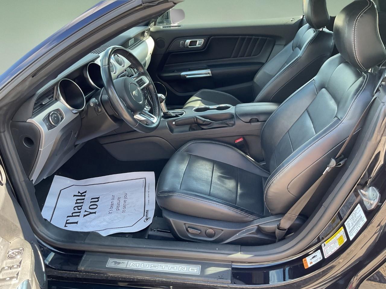 2021 Ford Mustang GT Premium 2dr Convertible Photo