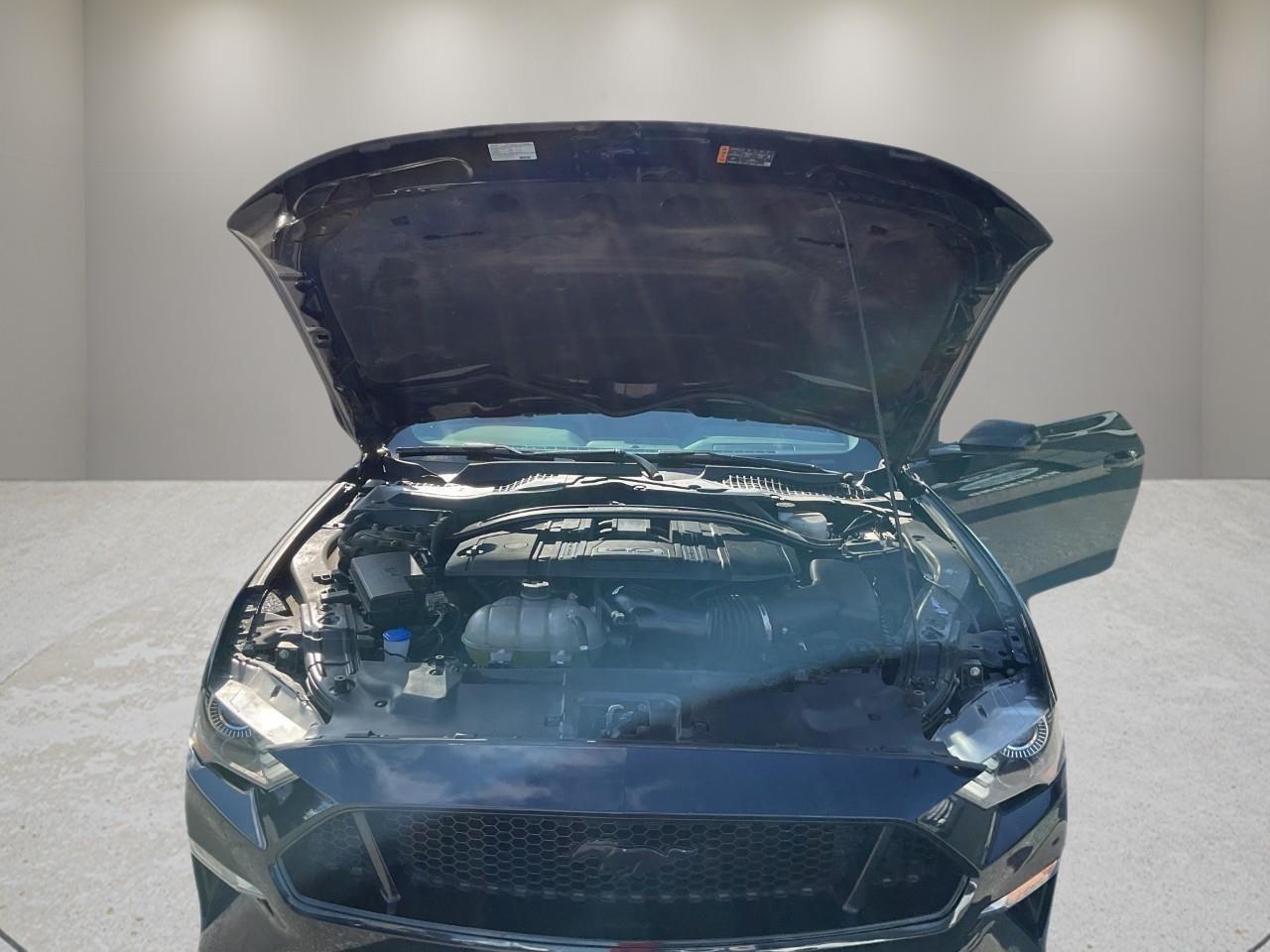 2021 Ford Mustang GT Premium 2dr Convertible Photo