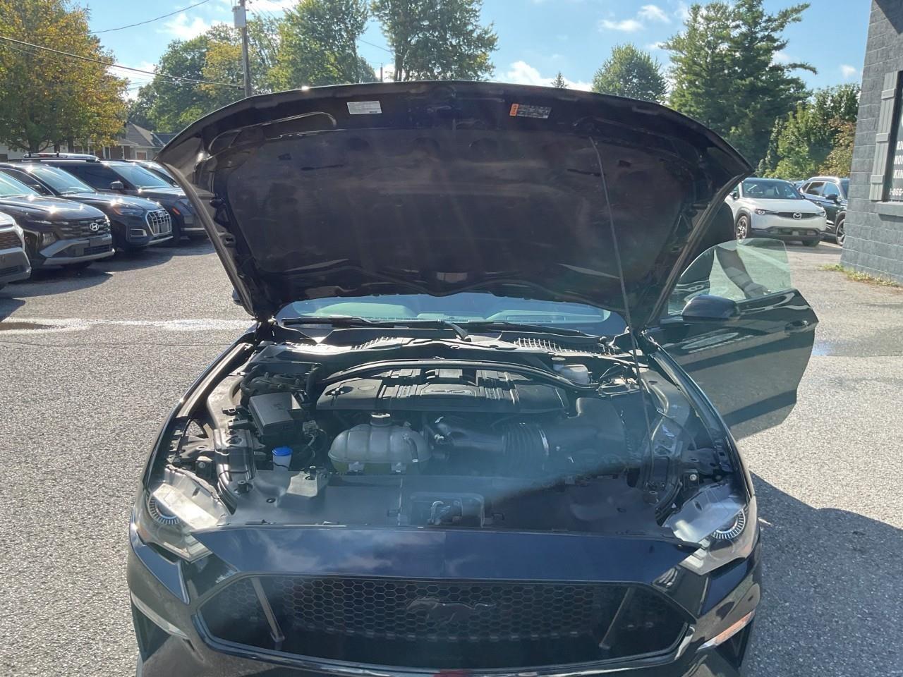 2021 Ford Mustang GT Premium 2dr Convertible Photo