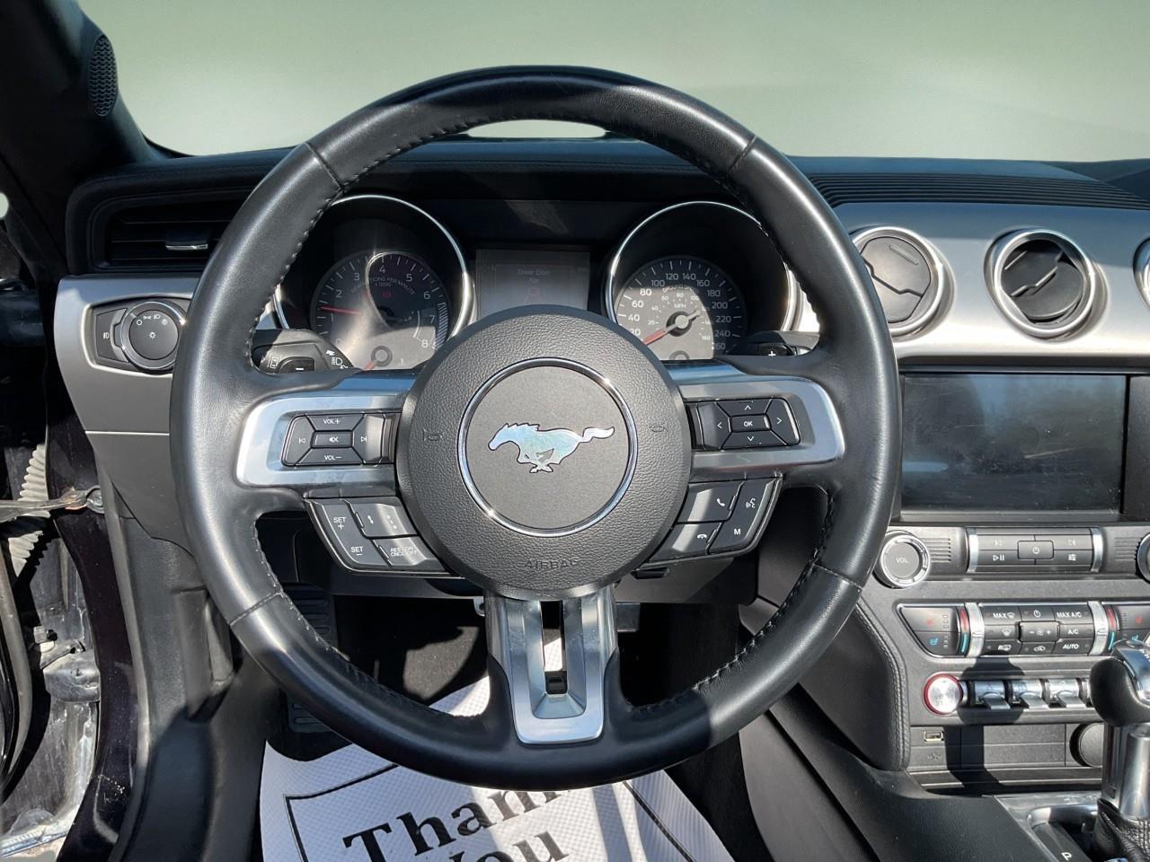 2021 Ford Mustang GT Premium 2dr Convertible Photo