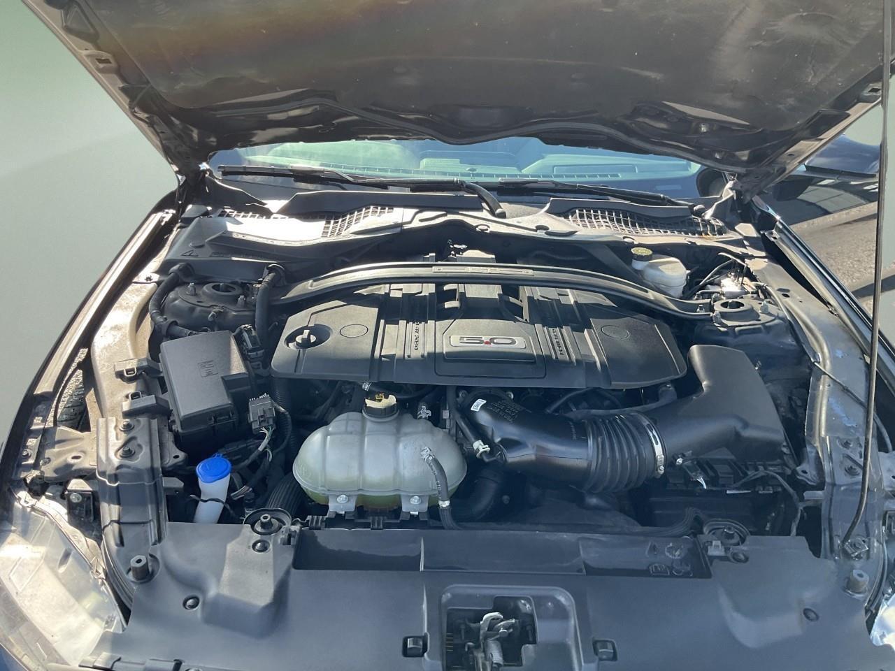 2021 Ford Mustang GT Premium 2dr Convertible Photo