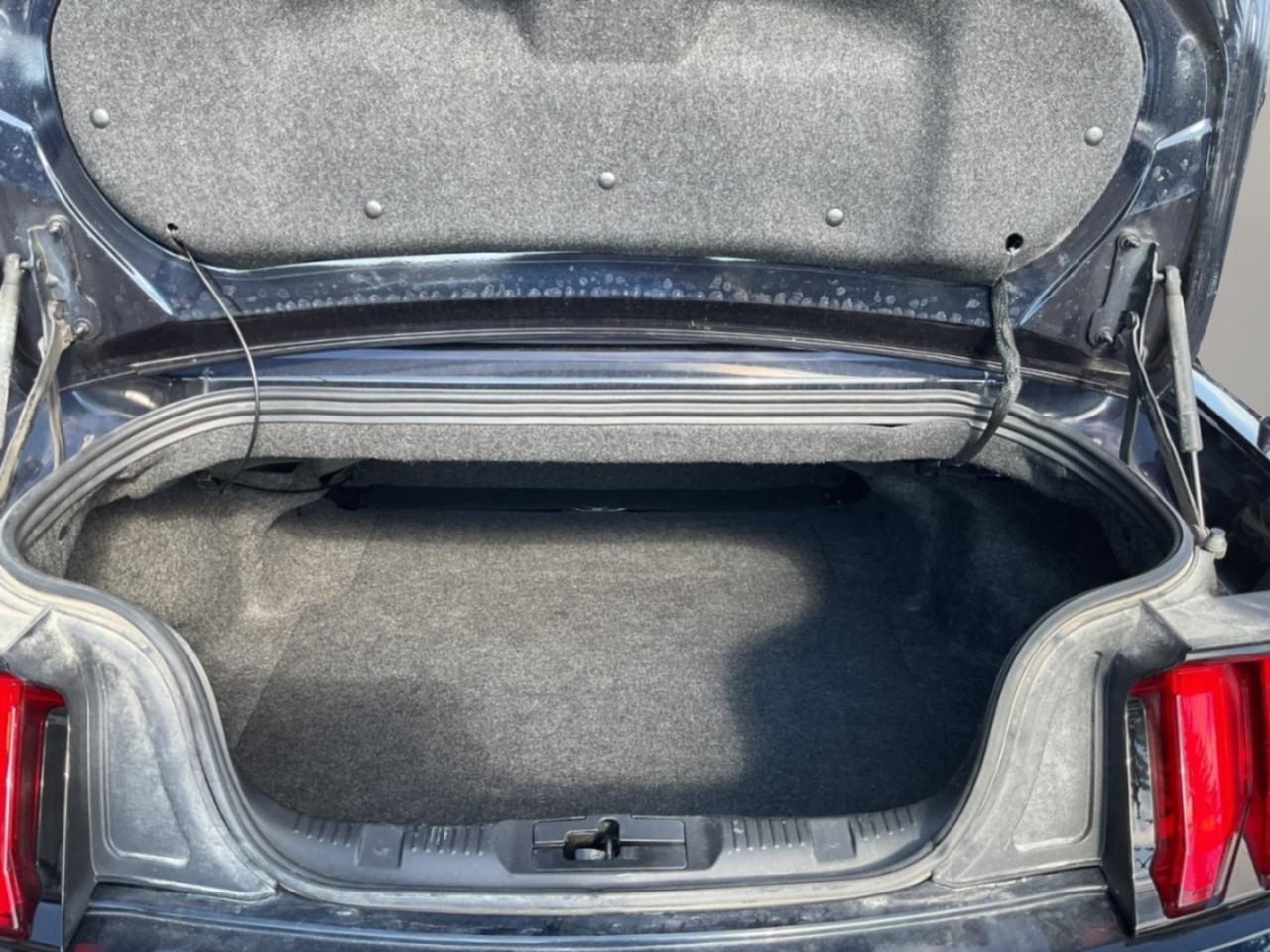 2021 Ford Mustang GT Premium 2dr Convertible Photo