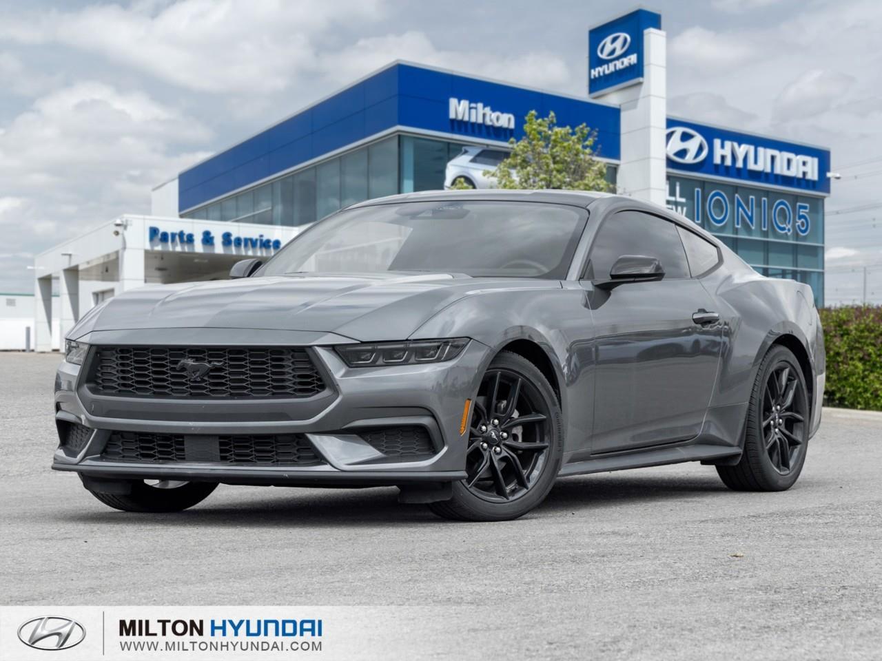 2024 Ford Mustang EcoBoost Premium 2dr Fastback Photo0