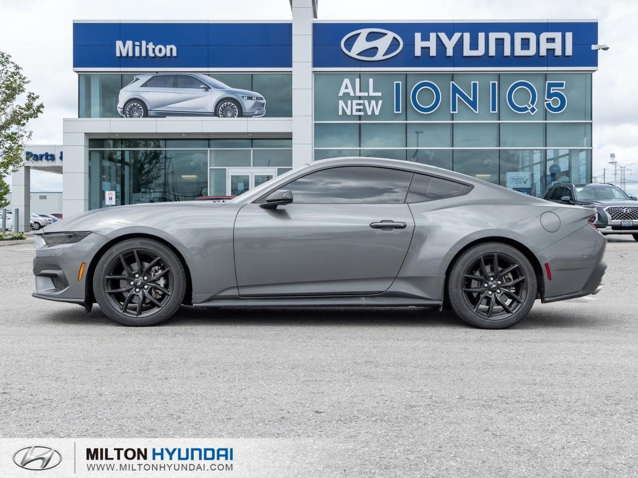 2024 Ford Mustang EcoBoost Premium 2dr Fastback Photo2