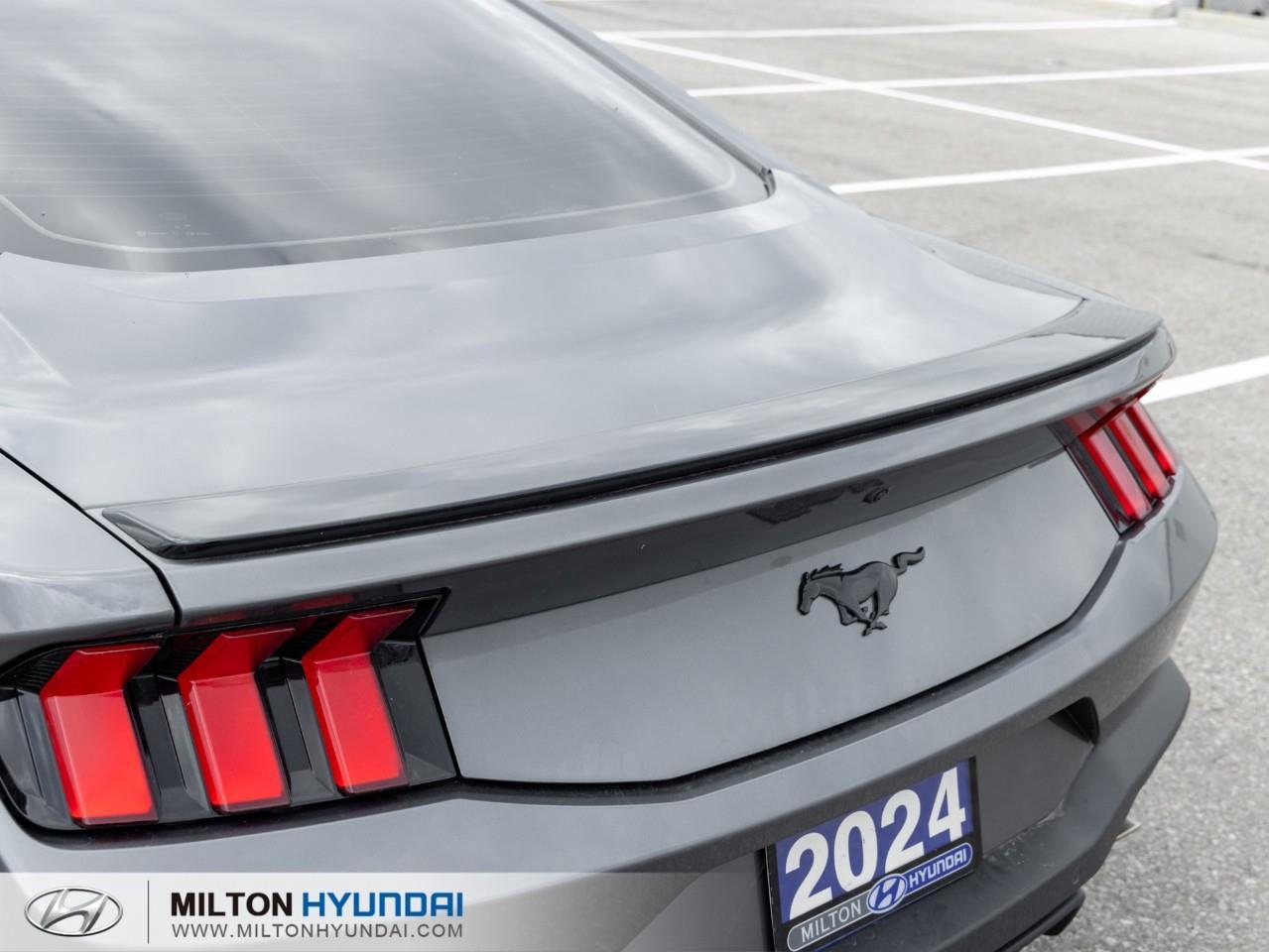 2024 Ford Mustang EcoBoost Premium 2dr Fastback Photo