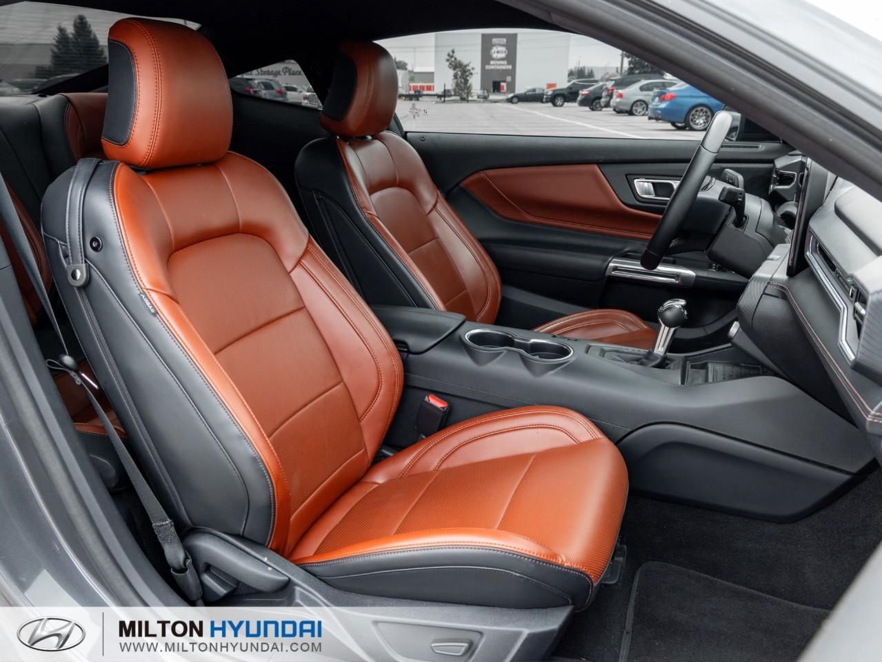 2024 Ford Mustang EcoBoost Premium 2dr Fastback Photo