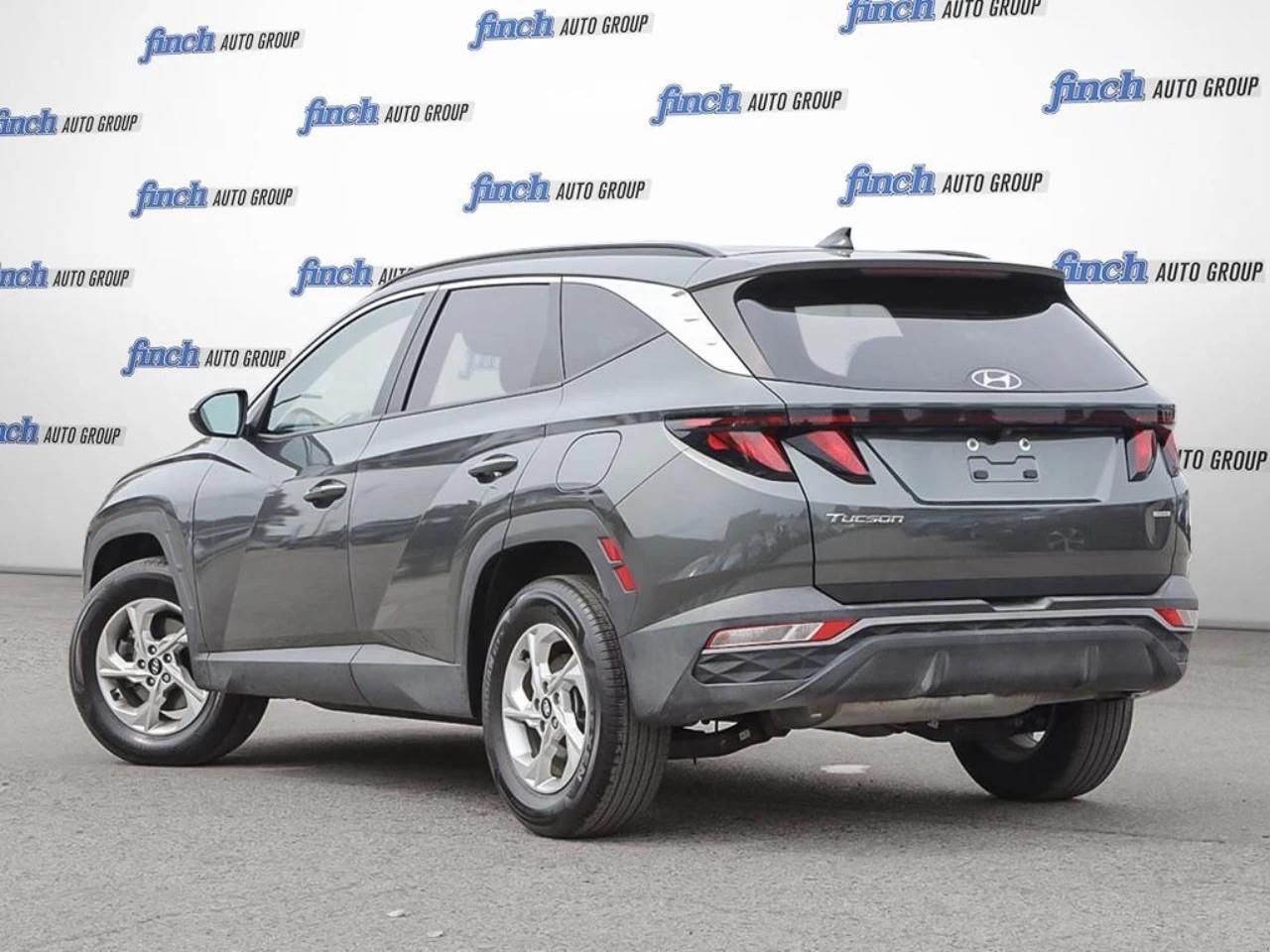 2024 Hyundai Tucson  Photo5