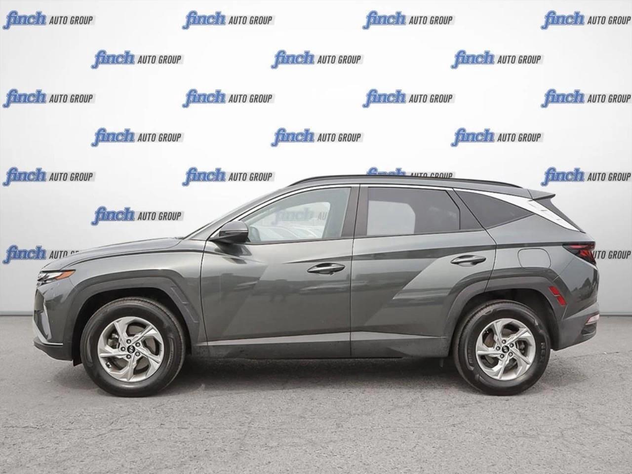 2024 Hyundai Tucson  Photo