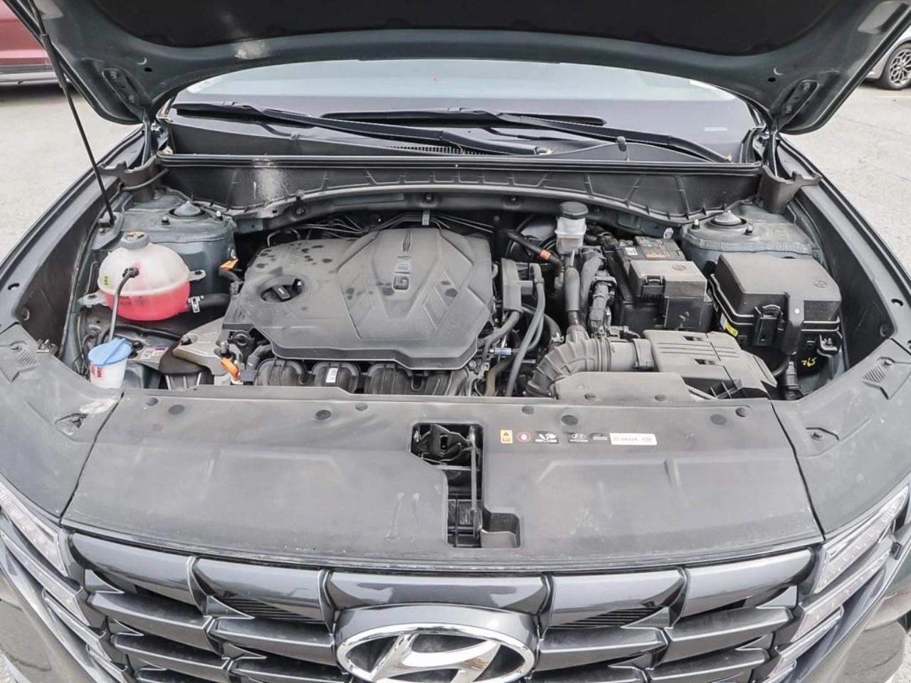 2024 Hyundai Tucson  Photo