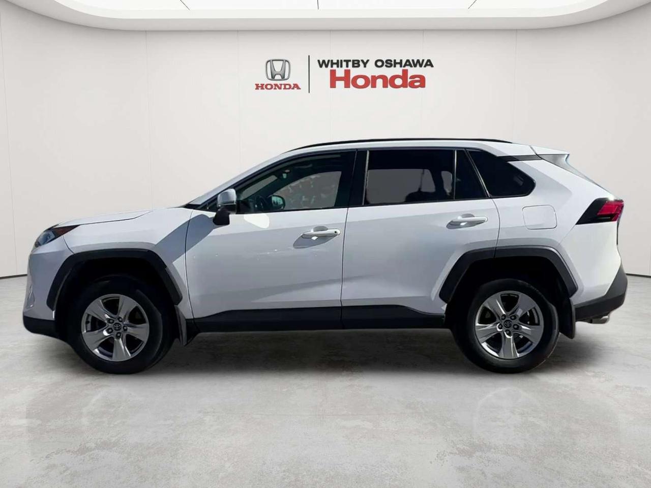 2019 Toyota RAV4 XLE Photo
