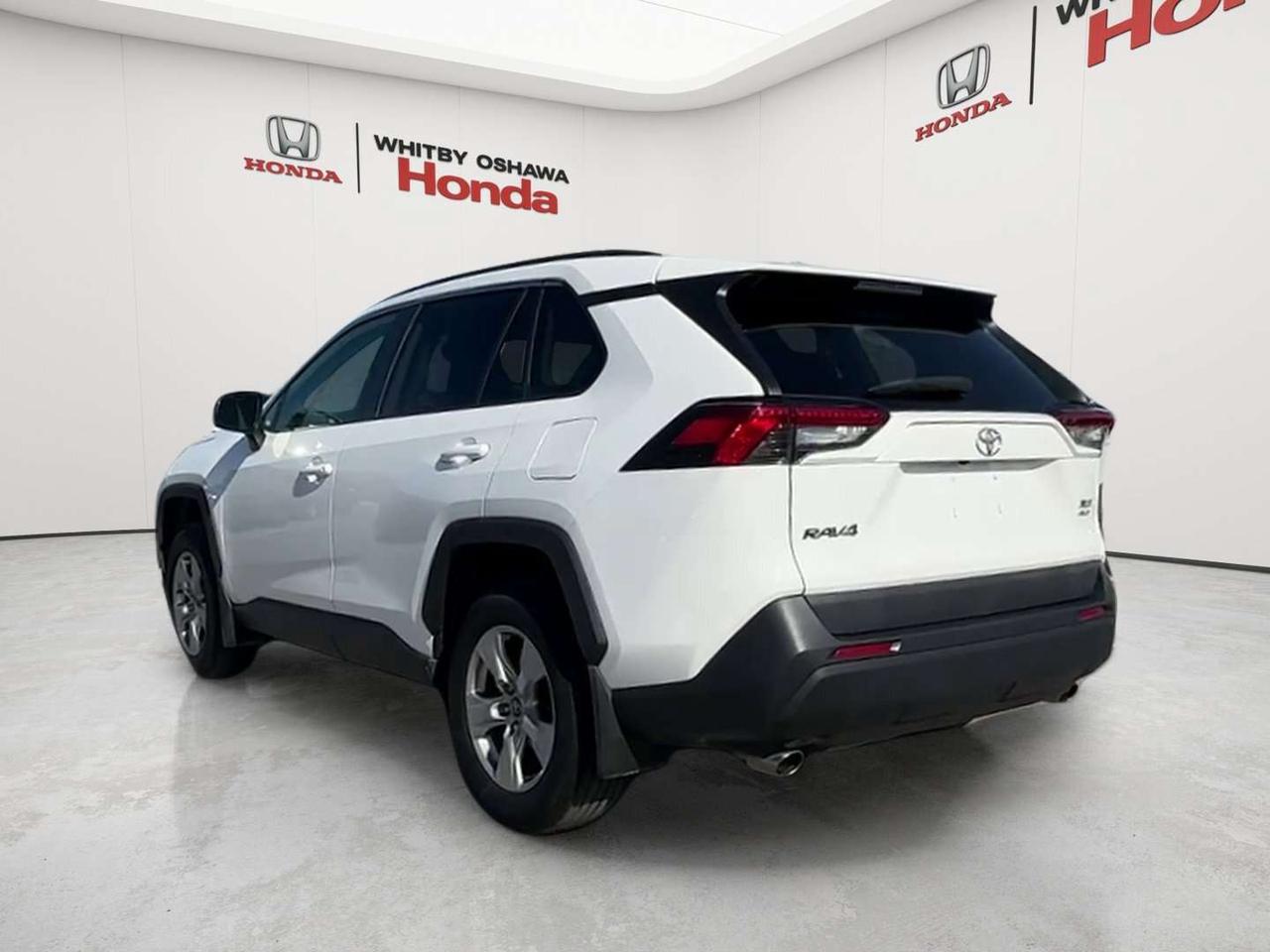 2019 Toyota RAV4 XLE Photo