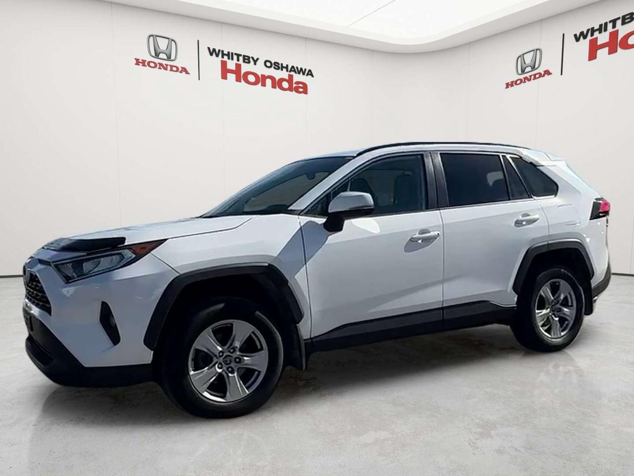 2019 Toyota RAV4 XLE Photo1