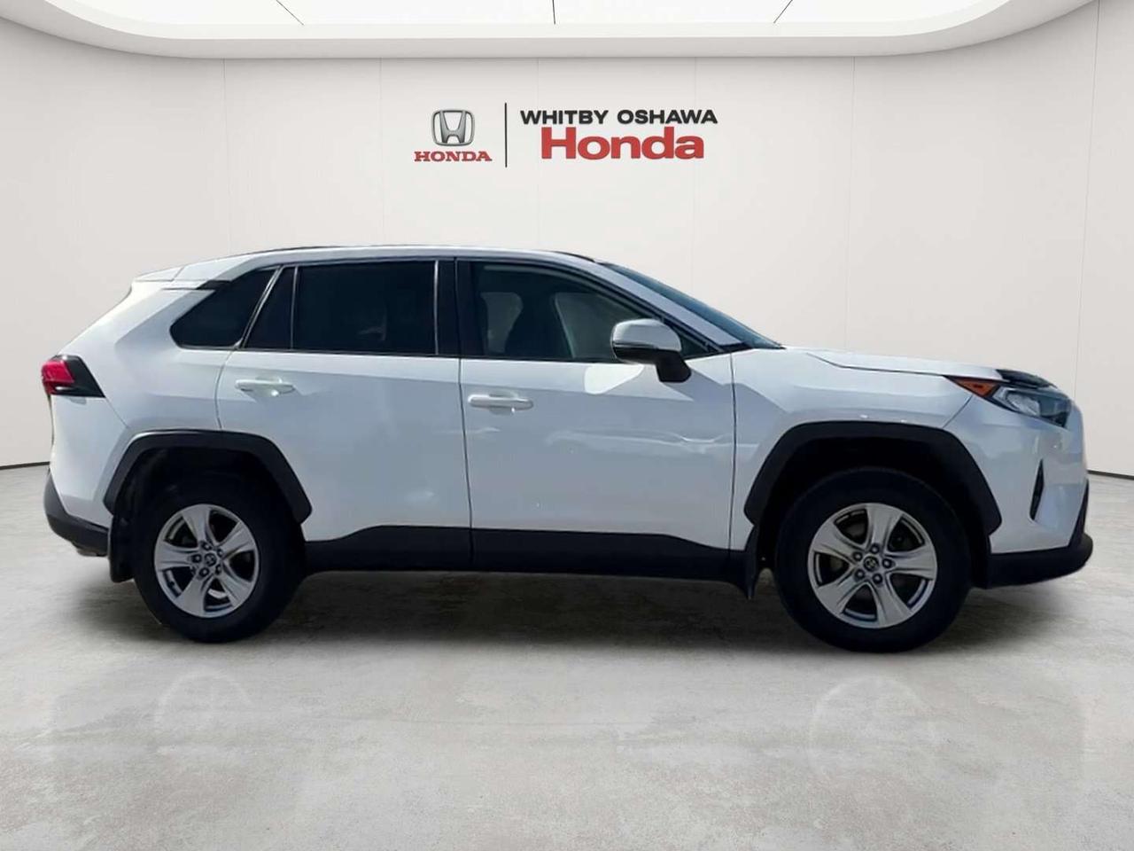 2019 Toyota RAV4 XLE Photo