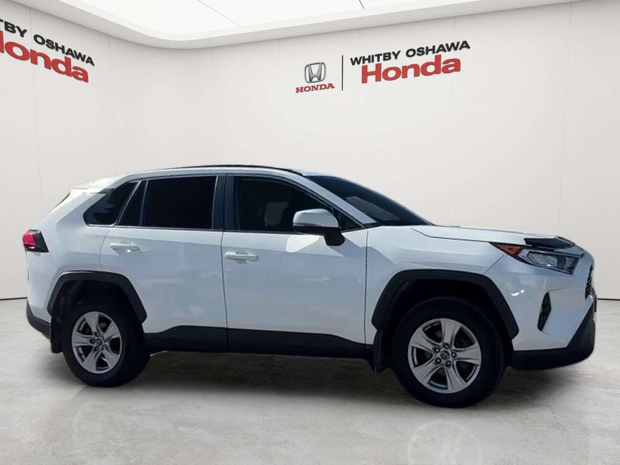2019 Toyota RAV4 XLE Photo