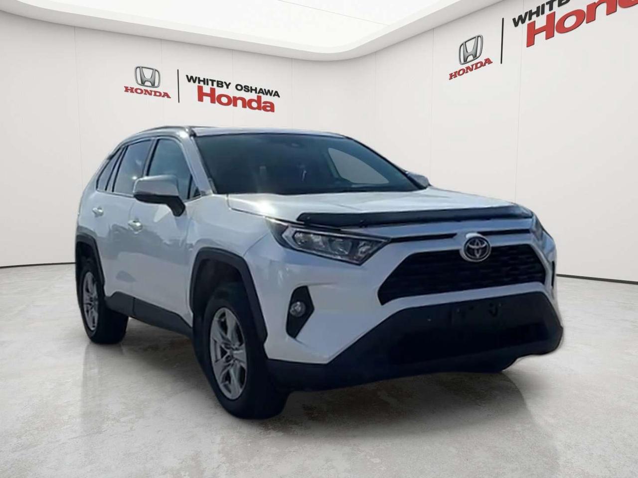 2019 Toyota RAV4 XLE Photo