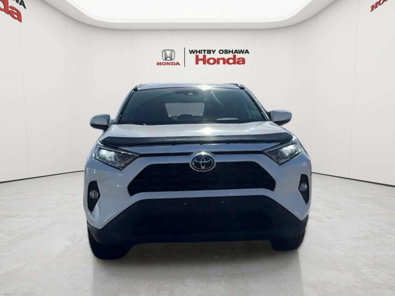 2019 Toyota RAV4 XLE Photo