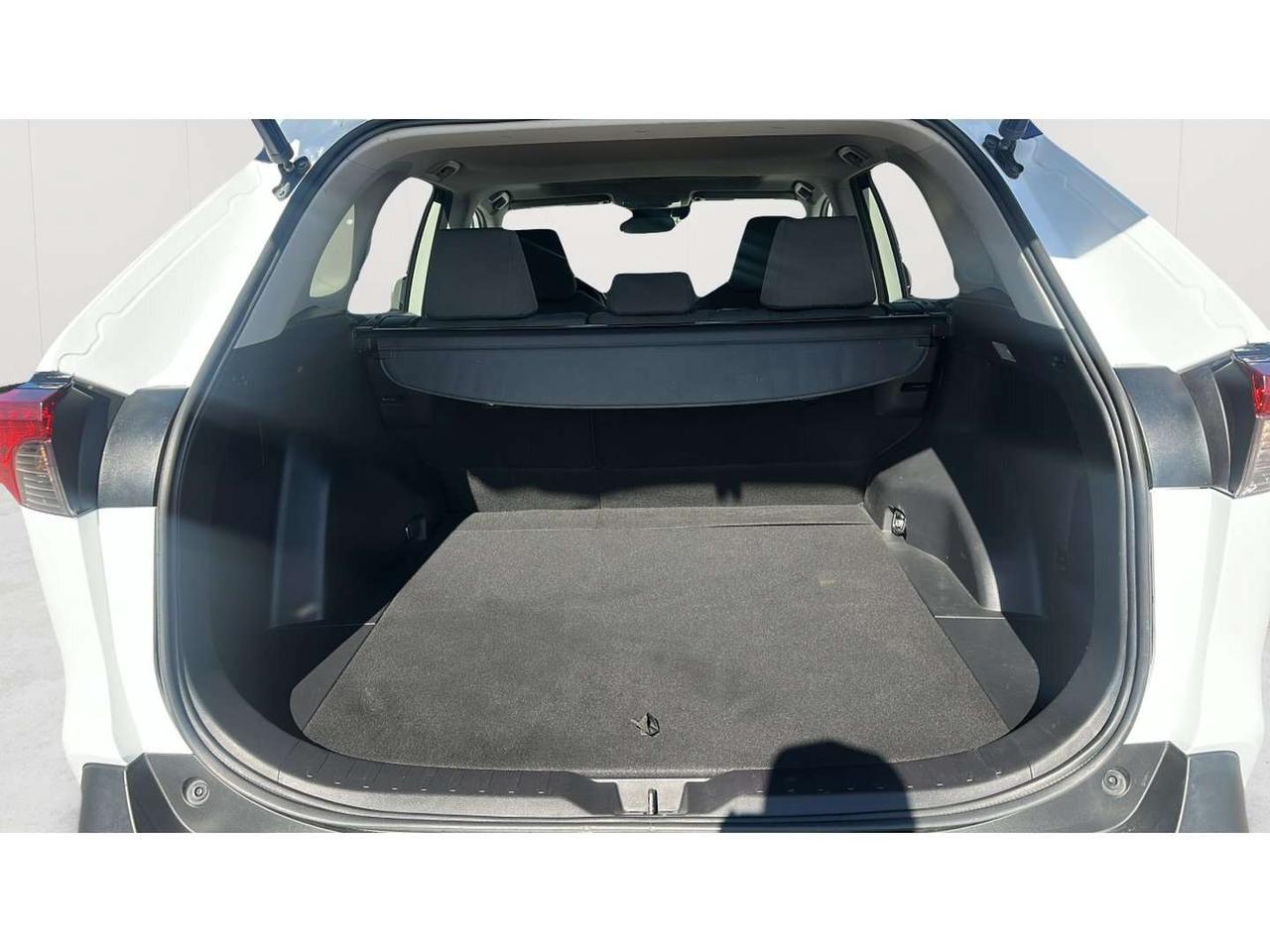 2019 Toyota RAV4 XLE Photo