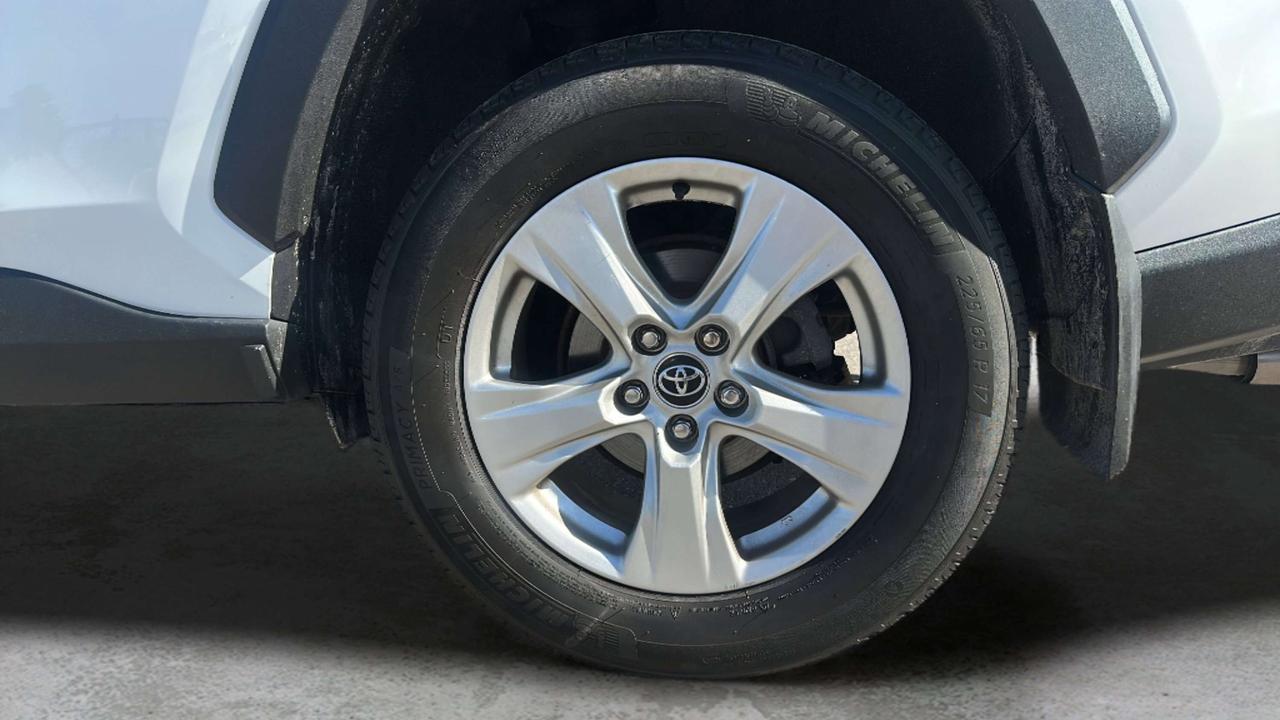 2019 Toyota RAV4 XLE Photo
