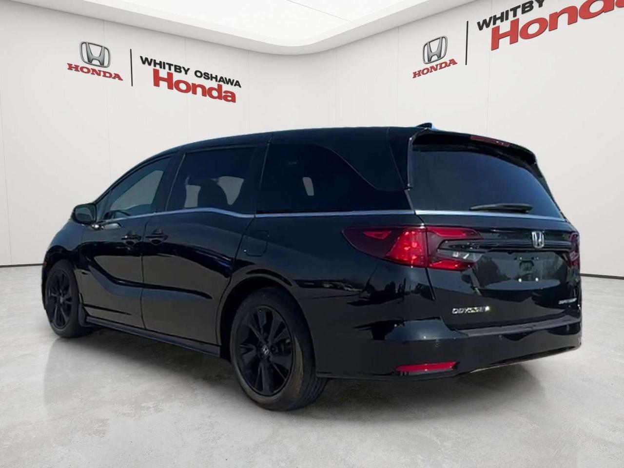 2024 Honda Odyssey Black Edition Photo