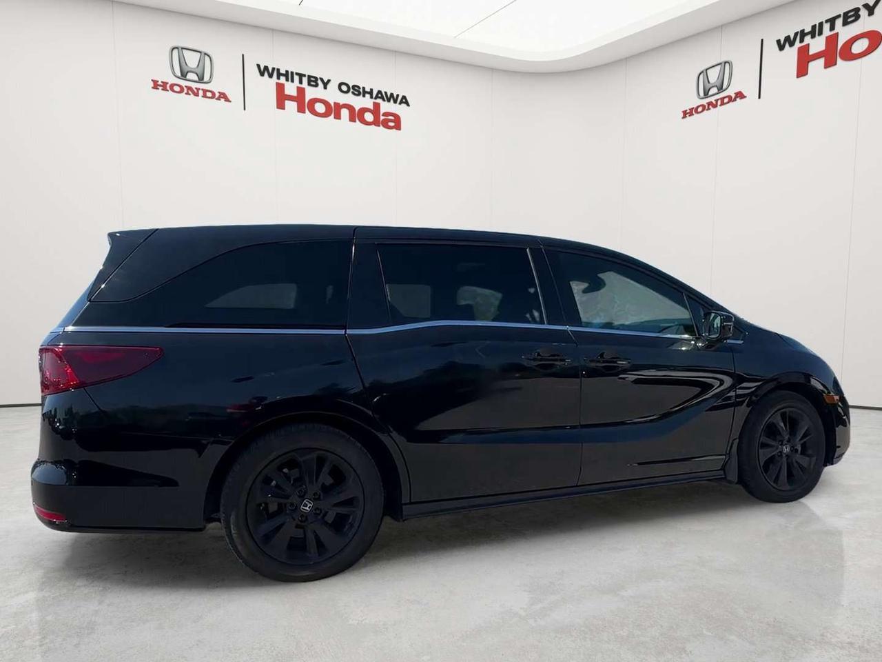 2024 Honda Odyssey Black Edition Photo