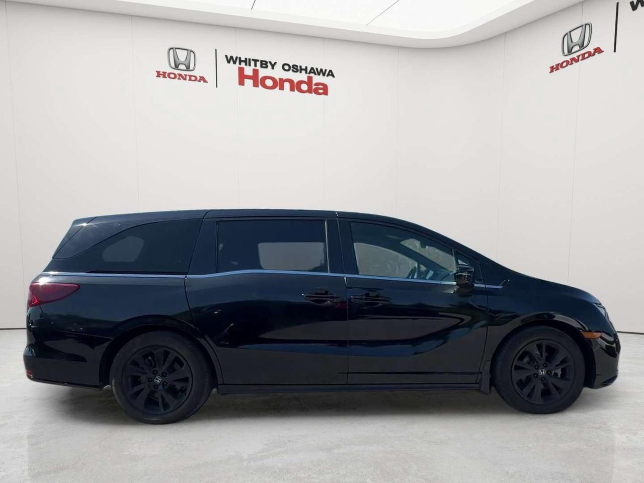 2024 Honda Odyssey Black Edition Photo