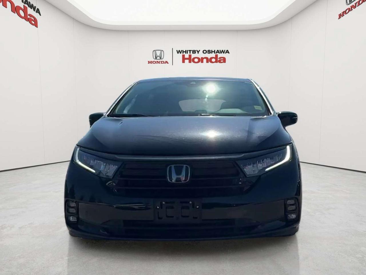 2024 Honda Odyssey Black Edition Photo