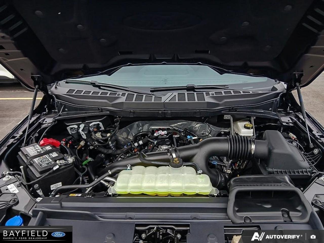2026 Ford F-150 XLT Photo