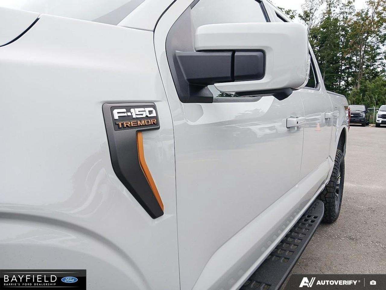 2026 Ford F-150 Tremor Photo