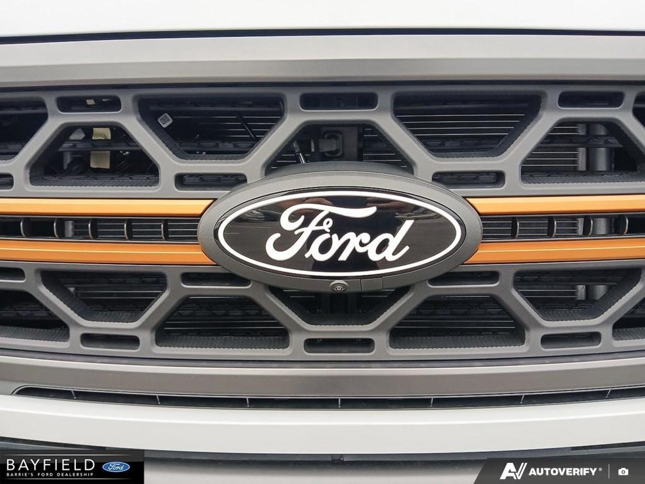 2026 Ford F-150 Tremor Photo
