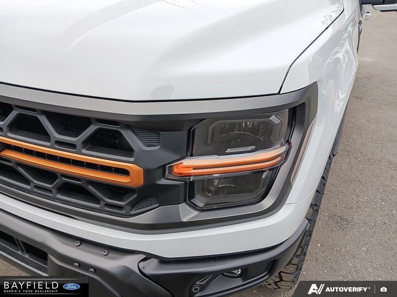 2026 Ford F-150 Tremor Photo