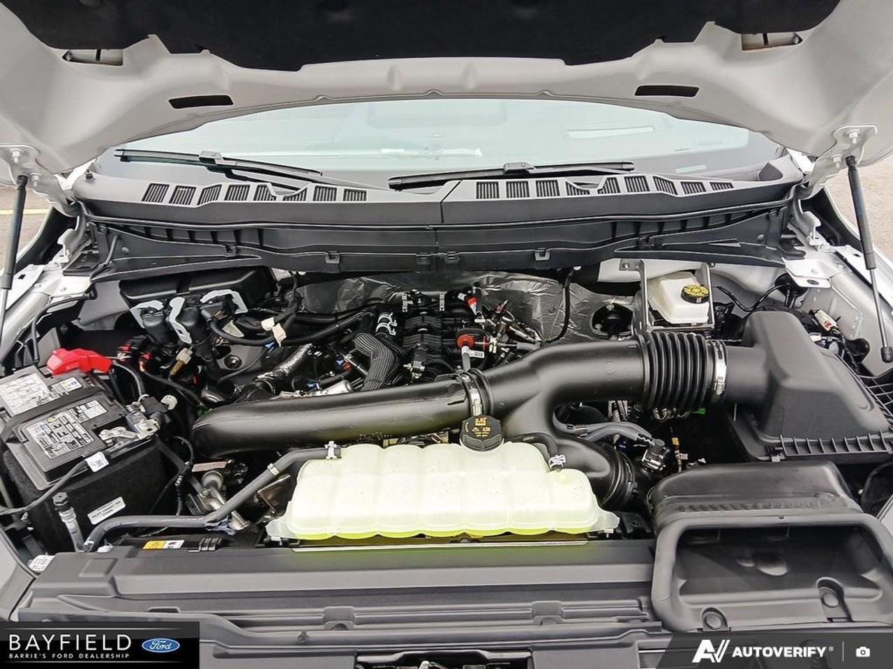 2026 Ford F-150 Tremor Photo