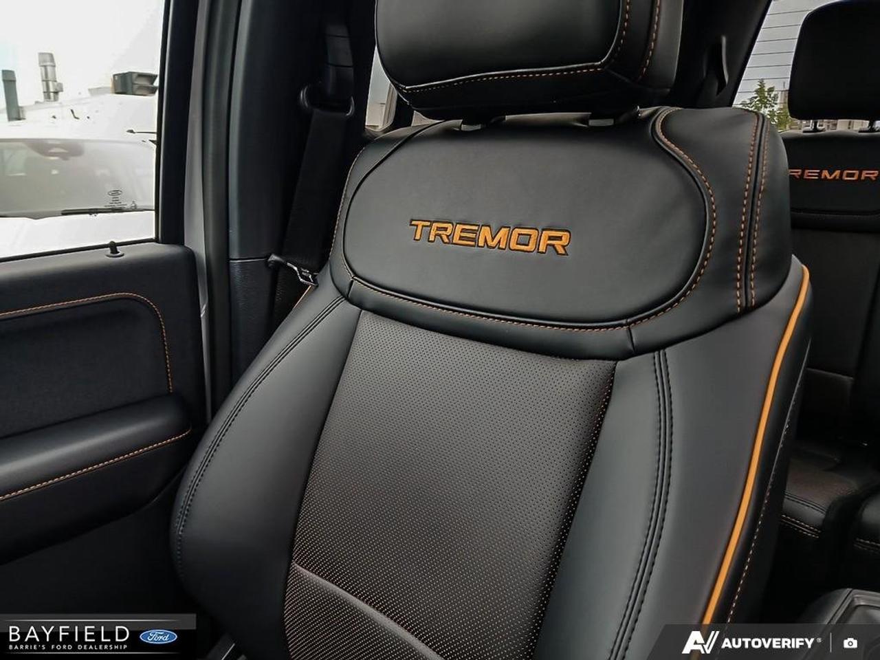 2026 Ford F-150 Tremor Photo