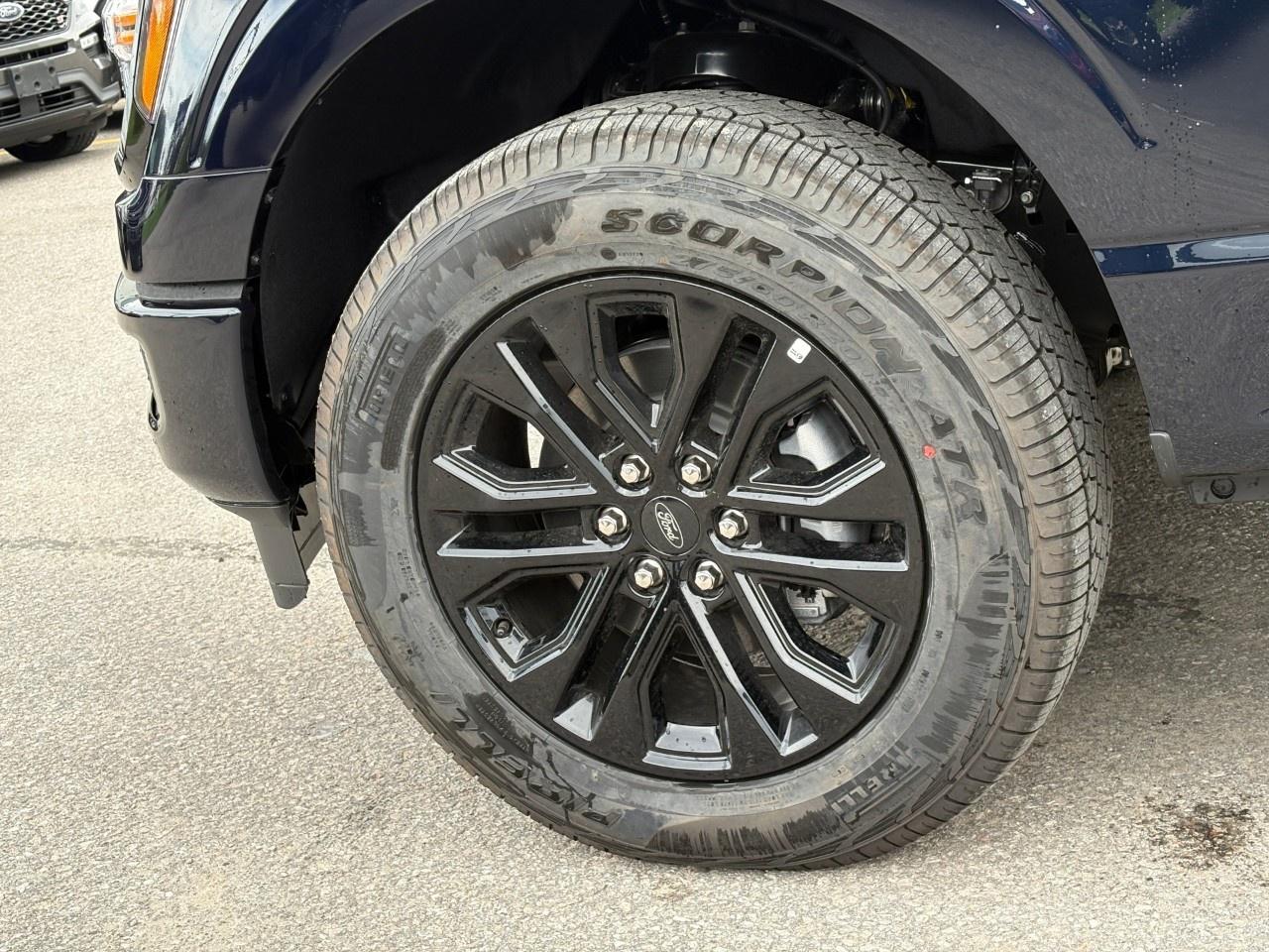 2026 Ford F-150 XLT 4WD SuperCrew 5.5' Box Photo