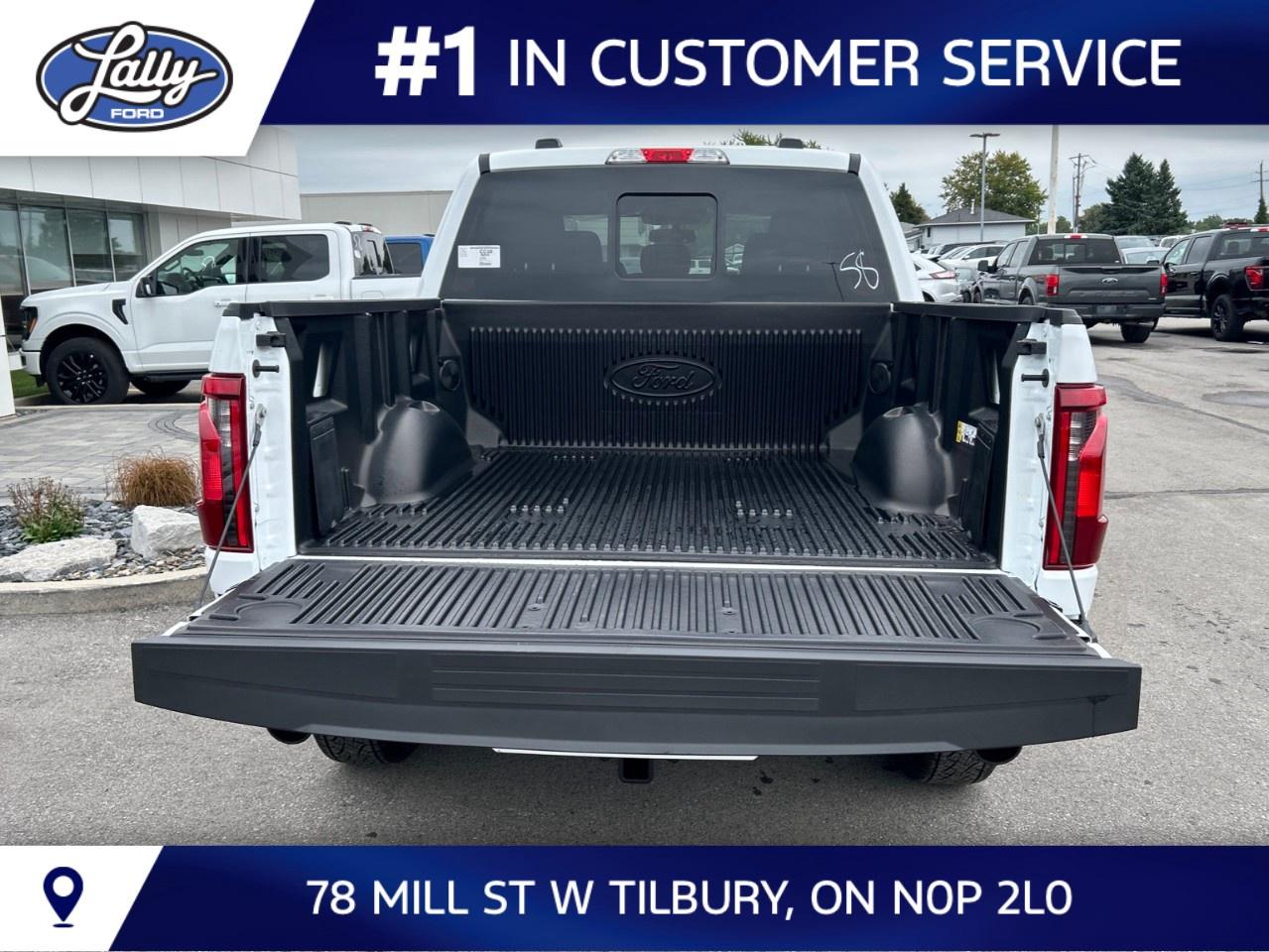 2026 Ford F-150 XLT 4WD SuperCrew 5.5' Box Photo