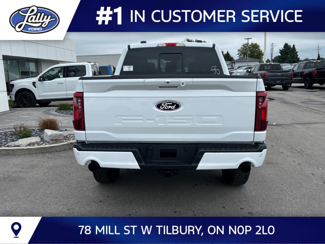 2026 Ford F-150 XLT 4WD SuperCrew 5.5' Box Photo3