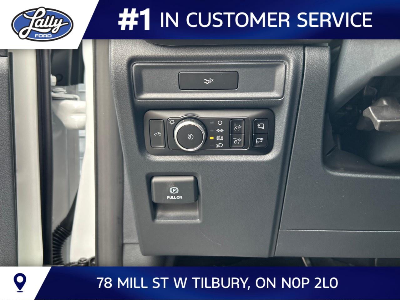 2026 Ford F-150 XLT 4WD SuperCrew 5.5' Box Photo