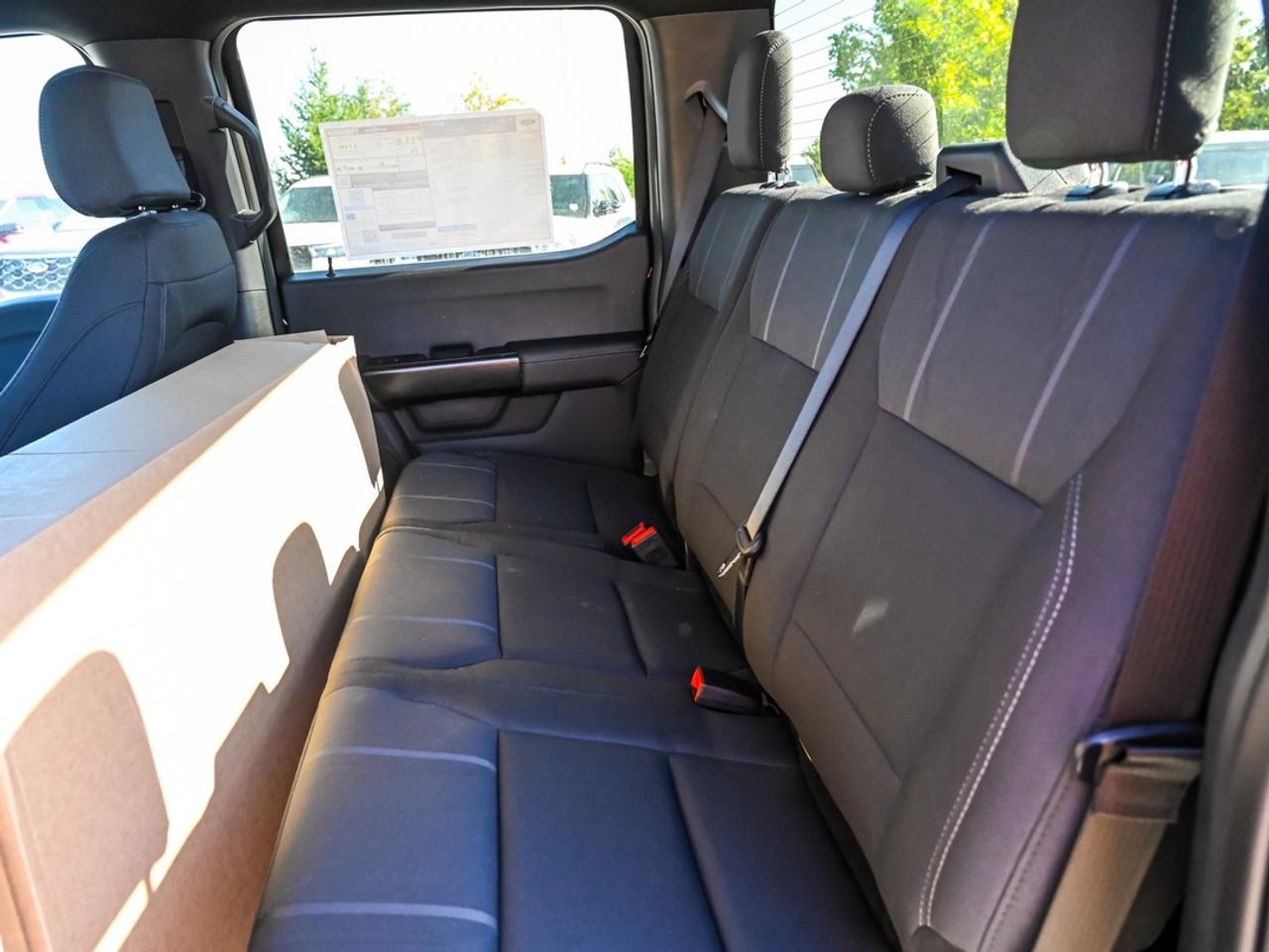 2026 Ford F-150 STX Photo