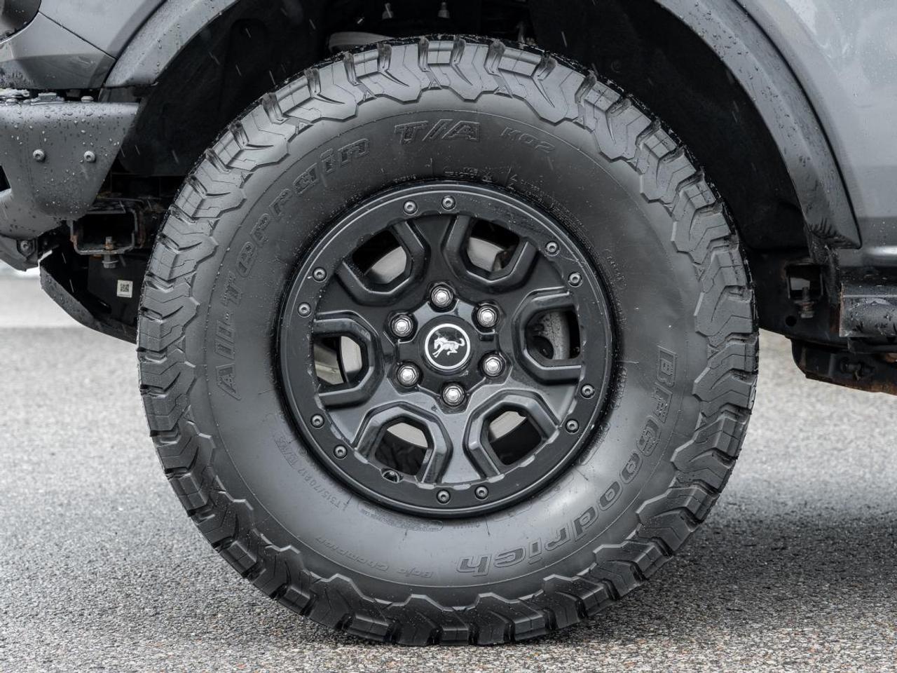 2023 Ford Bronco WildTrak Photo