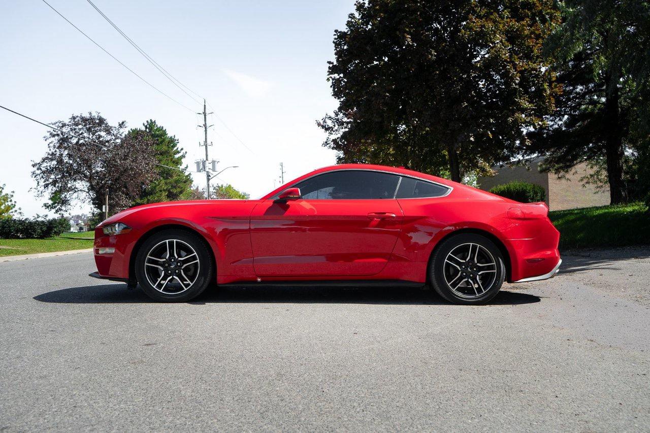 2021 Ford Mustang EcoBoost Premium Photo