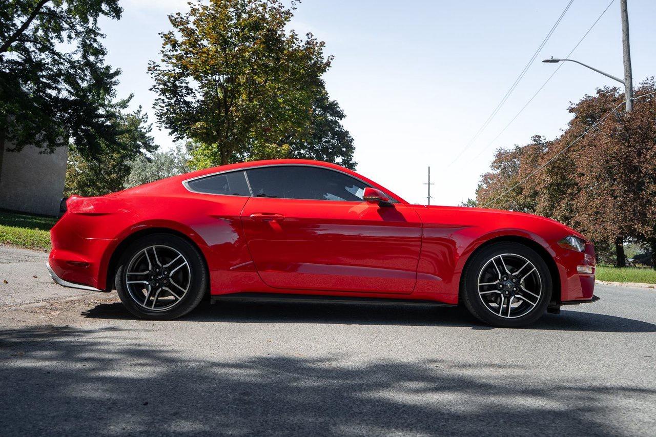 2021 Ford Mustang EcoBoost Premium Photo